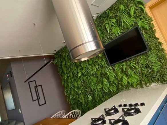 apartamento-venda-em-sao-bernardo-do-campo a kitchen with a tv and a wall of plants