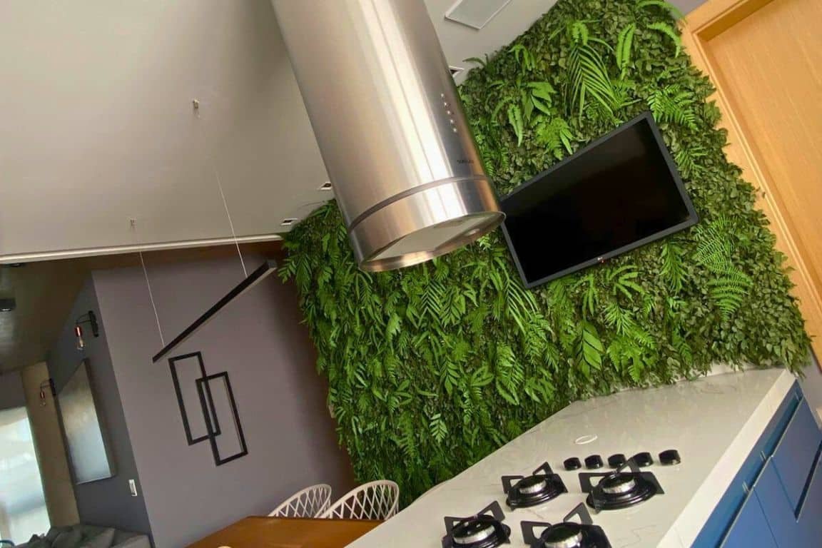 a kitchen with a tv and a wall of plants